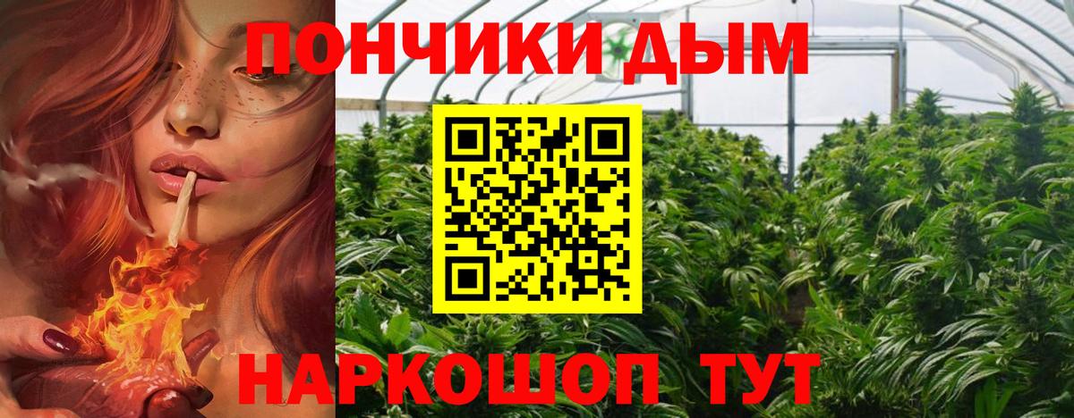 Шишки марихуана ГИДРОПОН Великий Новгород